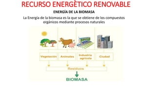 RECURSO ENERGÈTICO RENOVABLE
ENERGÍA DE LA BIOMASA
La Energía de la biomasa es la que se obtiene de los compuestos
orgánicos mediante procesos naturales
 