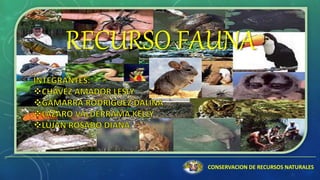 RECURSO FAUNA
CONSERVACION DE RECURSOS NATURALES
 