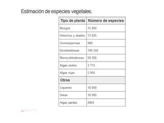 Recurso flora