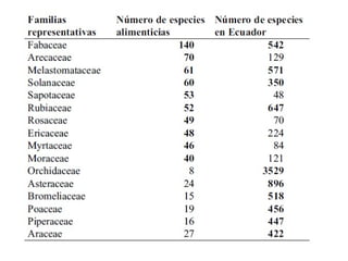 Recurso flora