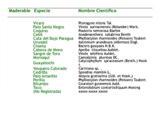 Recurso flora