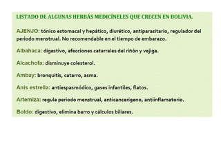 Recurso flora