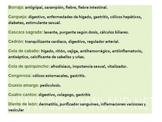 Recurso flora