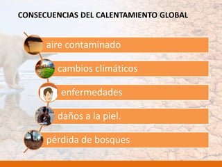 CONSECUENCIAS DEL CALENTAMIENTO GLOBAL
aire contaminado
cambios climáticos
enfermedades
daños a la piel.
pérdida de bosques
 