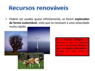 Recurso Natural