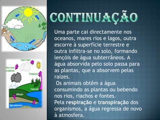 C0NTINUAÇÃOUma parte cai directamente nos oceanos, mares rios e lagos, outra escorre à superfície terrestre e outra infiltra-se no solo, formando lençóis de água subterrâneos. A água absorvida pelo solo passa para as plantas, que a absorvem pelas raízes. Os animais obtêm a água consumindo as plantas ou bebendo nos rios, riachos e fontes. Pela respiração e transpiração dos organismos, a água regressa de novo à atmosfera.