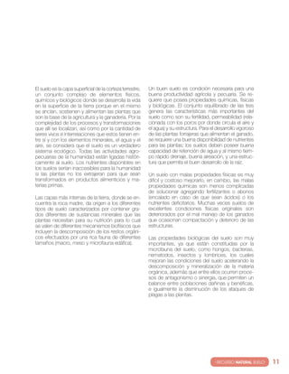 el suelo es la capa superficial de la corteza terrestre,   un buen suelo es condición necesaria para una
un conjunto complejo de elementos físicos,                 buena productividad agrícola y pecuaria. se re-
químicos y biológicos donde se desarrolla la vida          quiere que posea propiedades químicas, físicas
en la superficie de la tierra porque en el mismo           y biológicas. el conjunto equilibrado de las tres
se anclan, sostienen y alimentan las plantas que           genera las características más importantes del
son la base de la agricultura y la ganadería. Por la       suelo como son su fertilidad, permeabilidad (rela-
complejidad de los procesos y transformaciones             cionada con los poros por donde circula el aire y
que allí se localizan, así como por la cantidad de         el agua) y su estructura. Para el desarrollo vigoroso
seres vivos e interrelaciones que estos tienen en-         de las plantas forrajeras que alimentan el ganado,
tre sí y con los elementos minerales, el agua y el         se requiere una buena disponibilidad de nutrientes
aire, se considera que el suelo es un verdadero            para las plantas; los suelos deben poseer buena
sistema ecológico. todas las actividades agro-             capacidad de retención de agua y al mismo tiem-
pecuarias de la humanidad están ligadas históri-           po rápido drenaje, buena aireación, y una estruc-
camente al suelo. los nutrientes disponibles en            tura que permita el buen desarrollo de la raíz.
los suelos serían inaccesibles para la humanidad
si las plantas no los extrajeran para que sean             un suelo con malas propiedades físicas es muy
transformados en productos alimenticios y ma-              difícil y costoso mejorarlo, en cambio, las malas
terias primas.                                             propiedades químicas son menos complicadas
                                                           de solucionar agregando fertilizantes o abonos
las capas más internas de la tierra, donde se en-          (encalado en caso de que sean ácidos) o los
cuentra la roca madre, da origen a los diferentes          nutrientes deficitarios. Muchas veces suelos de
tipos de suelo caracterizados por contener gra-            excelentes condiciones físicas originales son
dos diferentes de sustancias minerales que las             deteriorados por el mal manejo de los ganados
plantas necesitan para su nutrición para lo cual           que ocasionan compactación y deterioro de las
se valen de diferentes mecanismos biofísicos que           estructuras.
incluyen la descomposición de los restos orgáni-
cos efectuados por una rica fauna de diferentes            las propiedades biológicas del suelo son muy
tamaños (macro, meso y microfauna edáfica).                importantes, ya que están constituidas por la
                                                           microfauna del suelo, como hongos, bacterias,
                                                           nematodos, insectos y lombrices, los cuales
                                                           mejoran las condiciones del suelo acelerando la
                                                           descomposición y mineralización de la materia
                                                           orgánica, además que entre ellos ocurren proce-
                                                           sos de antagonismo o sinergia, que permiten un
                                                           balance entre poblaciones dañinas y benéficas,
                                                           e igualmente la disminución de los ataques de
                                                           plagas a las plantas.




                                                                                            · RECURSO NATURAL SUELO·   11
 