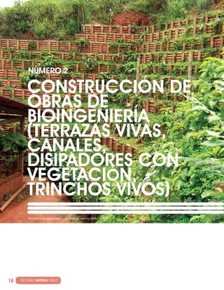 NúMERO·2

         cONSTRUccIóN DE
         OBRAS DE
         BIOINGENIERÍA
         (TERRAzAS VIVAS,
         cANALES,
         DISIPADORES cON
         VEGETAcIóN,
         TRINchOS VIVOS)
          Terrazas vivas escalonadas. Luís Jiménez, archivo CIPAV.




18   · RECURSO NATURAL SUELO
 