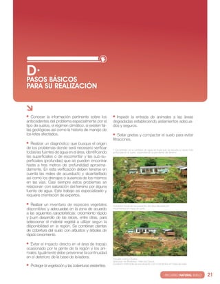 D· BáSIcOS
PASOS
PARA SU REALIzAcIóN



   conocer la información pertinente sobre los            impedir la entrada de animales a las áreas
antecedentes del problema especialmente por el          degradadas estableciendo aislamientos adecua-
tipo de suelos, el régimen climático, si existen fal-   dos y seguros.
las geológicas así como la historia de manejo de
los lotes afectados.                                         sellar grietas y compactar el suelo para evitar
                                                        filtraciones.
   realizar un diagnóstico que busque el origen
de los problemas donde será necesario verificar         3 escorrentía: es la cantidad de agua de lluvia que se escurre a capas más
todas las fuentes de agua en el área, identificando     profundas en el suelo, dependiendo la pendiente del terreno.
las superficiales o de escorrentía3 y las sub-su-
perficiales (profundas) que se pueden encontrar
hasta a tres metros de profundidad aproxima-
damente. en esta verificación deben tenerse en
cuenta las redes de acueducto y alcantarillado
así como los drenajes o ausencia de los mismos
en las vías. casi siempre estos problemas se
relacionan con saturación del terreno por alguna
fuente de agua. este trabajo es especializado y
requiere orientación de expertos.

   realizar un inventario de especies vegetales         condición inicial de recuperación del área afectada por
disponibles y adecuadas en la zona de acuerdo           movimientos en masa de suelo.
a las siguientes características: crecimiento rápido
y buen desarrollo de las raíces, entre otras, para
seleccionar el material vegetal a utilizar según la
disponibilidad en la región. se combinan plantas
de cobertura del suelo con arbustos y árboles de
rápido crecimiento.

  evitar el impacto directo en el área de trabajo
ocasionado por la gente de la región y los ani-
males. igualmente debe prevenirse la continuidad
en el deterioro de la base de la ladera.                escuela rural la Guaira,
                                                        Municipio de restrepo, valle del cauca.
                                                        condición intermedia de una situación con movimientos en masa de suelo.
  Proteger la vegetación y las coberturas existentes.

                                                                                                        · RECURSO NATURAL SUELO·     21
 