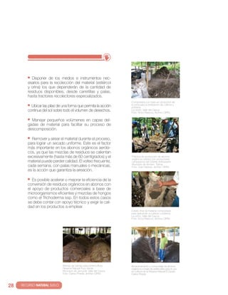 Disponer de los medios e instrumentos nec-
          esarios para la recolección del material (estiércol
          y orina) los que dependerán de la cantidad de
          residuos disponibles, desde carretillas y palas,
          hasta tractores recolectores especializados.
                                                                         compostera con base en productos de
                                                                         la zona para la fertilización de cultivos y
            ubicar las pilas de una forma que permita la acción          potreros.
          continua del sol sobre todo el volumen de desechos.            la unión, valle del cauca.
                                                                         Foto: víctor riascos, Archivo ciPAv.


            Manejar pequeños volúmenes en capas del-
          gadas de material para facilitar su proceso de
          descomposición.

            remover y airear el material durante el proceso,
          para lograr un secado uniforme. este es el factor
          más importante en los abonos orgánicos aeróbi-
          cos, ya que las mezclas de residuos se calientan
          excesivamente (hasta más de 60 centígrados) y el               Práctica de producción de abonos
                                                                         orgánicos sólidos con productores
          material puede perder calidad. el volteo frecuente,            campesinos del oriente Antioqueño,
                                                                         Municipio de Armero, tolima.
          cada semana, con palas manuales o mecánicas,                   Foto: juan naranjo, archivo ciPAv.
          es la acción que garantiza la aireación.

             es posible acelerar o mejorar la eficiencia de la
          conversión de residuos orgánicos en abonos con
          el apoyo de productos comerciales a base de
          microorganismos eficientes y mezclas de hongos
          como el trichoderma ssp. en todos estos casos
          se debe contar con apoyo técnico y exigir la cali-
          dad en los productos a emplear.
                                                                         estado final de material compostado
                                                                         para aplicación a cultivos y potreros.
                                                                         la unión, valle del cauca.
                                                                         Foto: víctor riascos, Archivo ciPAv.




                                Manejo de camas para lombricultura.      Almacenamiento y compostaje de abonos
                                reserva natural Pozo verde,              orgánicos a base de estiércoles para el uso
                                Municipio de jamundí, valle del cauca.   en cultivos de la reserva natural el ciprés.
                                Foto: carlos Pineda, archivo ciPAv.      carlos Pineda.



28   · RECURSO NATURAL SUELO
 