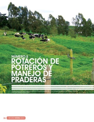 NúMERO·5
         ROTAcIóN DE
         POTREROS y
         MANEJO DE
         PRADERAS
          Panorámica de sistema de rotación de potreros en lechería especializada. Finca El Vergel, San Pedro de los Milagros, Antioquia.
          Foto: Juan Naranjo, archivo CIPAV.




36   · RECURSO NATURAL SUELO
 