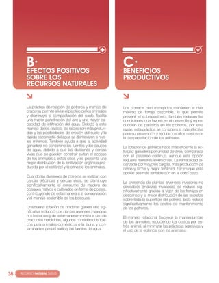 B· POSITIVOS
          EfEcTOS
                                                                 c·
                                                                 BENEfIcIOS
          SOBRE LOS                                              PRODUcTIVOS
          REcURSOS NATURALES


          la práctica de rotación de potreros y manejo de        los potreros bien manejados mantienen el nivel
          praderas permite aliviar el pisoteo de los animales    máximo de forraje disponible, lo que permite
          y disminuye la compactación del suelo, facilita        prevenir el sobrepastoreo, también reducen las
          una mayor penetración del aire y una mayor ca-         condiciones que favorecen el desarrollo y repro-
          pacidad de infiltración del agua. Debido a este        ducción de parásitos en los potreros, por esta
          manejo de los pastos, las raíces son más profun-       razón, esta práctica se considera la más efectiva
          das y las posibilidades de erosión del suelo y la      para su prevención y reduce los altos costos de
          rápida escorrentía del agua se disminuyen a nive-      la desparasitación de los animales.
          les mínimos. también ayuda a que la actividad
          ganadera no contamine las fuentes y los cauces         la rotación de potreros hace más eficiente la ac-
          de agua, debido a que las divisiones y cercas          tividad ganadera por unidad de área, comparada
          vivas que se pueden construir evitan el acceso         con el pastoreo continuo, aunque esta opción
          de los animales a estos sitios y se presenta una       requiere menores inversiones. la rentabilidad al-
          mejor distribución de la fertilización orgánica pro-   canzada por mayores cargas, más producción de
          ducida por el estiércol y la orina de los animales.    carne y leche y mejor fertilidad, hacen que esta
                                                                 opción sea más rentable aún en el corto plazo.
          cuando las divisiones de potreros se realizan con
          cercas eléctricas y cercas vivas, se disminuye         la presencia de plantas arvenses invasoras no
          significativamente el consumo de madera de             deseables (malezas invasoras) se reduce sig-
          bosques nativos o cultivados en forma de postes,       nificativamente gracias al vigor de los forrajes en
          contribuyendo de esta manera a la conservación         descanso y la mejor distribución de las excretas
          y el manejo sostenible de los bosques.                 sobre toda la superficie del potrero. esto reduce
                                                                 significativamente los costos de mantenimiento
          una buena rotación de praderas genera una sig-         de los potreros.
          nificativa reducción de plantas arvenses invasoras
          no deseables y de esta manera minimiza el uso de       el manejo rotacional favorece la mansedumbre
          productos herbicidas, algunos considerados tóxi-       de los animales, reduciendo los costos por es-
          cos para animales domésticos o la fauna y con-         trés animal, al minimizar las prácticas agresivas y
          taminantes para el suelo y las fuentes de agua.        el uso de la violencia con los animales.




38   · RECURSO NATURAL SUELO
 