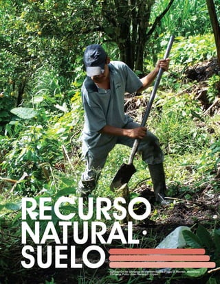 REcURSO
NATURAL·
SUELOAplicación de labranza de conservación. Finca El Recreo, municipio
     Circacia. Foto: Juan naranjo - Cipav.
 