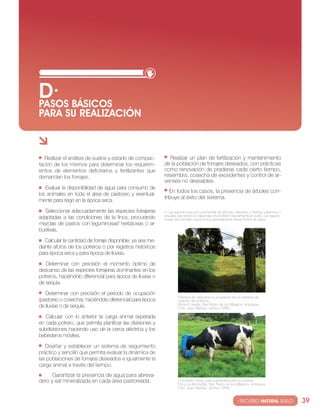 D· BáSIcOS
PASOS
PARA SU REALIzAcIóN



   realizar el análisis de suelos y estado de compac-         realizar un plan de fertilización y mantenimiento
tación de los mismos para determinar los requerim-          de la población de forrajes deseados, con prácticas
ientos de elementos deficitarios y fertilizantes que        como renovación de praderas cada cierto tiempo,
demandan los forrajes.                                      resiembra, cosecha de excedentes y control de ar-
                                                            venses no deseables.
   evaluar la disponibilidad de agua para consumo de
                                                               en todos los casos, la presencia de árboles con-
los animales en toda el área de pastoreo y eventual-
                                                            tribuye al éxito del sistema.
mente para riego en la época seca.

  seleccionar adecuadamente las especies forrajeras         5 las leguminosas son una familia de árboles, arbustos y hierbas perennes o
                                                            anuales que tienen la capacidad de fertilizar naturalmente el suelo. las legumi-
adaptadas a las condiciones de la finca, procurando         nosas son plantas cuyos frutos generalmente tienen forma de vaina
mezclas de pastos con leguminosas5 herbáceas o ar-
bustivas.

   calcular la cantidad de forraje disponible, ya sea me-
diante aforos de los potreros o por registros históricos
para época seca y para época de lluvias.

   Determinar con precisión el momento óptimo de
descanso de las especies forrajeras dominantes en los
potreros, haciéndolo diferencial para época de lluvias o
de sequía.

   Determinar con precisión el periodo de ocupación
                                                                     Potreros en descanso y ocupación en un sistema de
(pastoreo o cosecha), haciéndolo diferencial para época              rotación de potreros.
de lluvias o de sequía.                                              Finca el vergel, san Pedro de los Milagros, Antioquia.
                                                                     Foto: juan naranjo, archivo ciPAv.

   calcular con lo anterior la carga animal esperada
en cada potrero, que permita planificar las divisiones y
subdivisiones haciendo uso de la cerca eléctrica y los
bebederos móviles.

   Diseñar y establecer un sistema de seguimiento
práctico y sencillo que permita evaluar la dinámica de
las poblaciones de forrajes deseados e igualmente la
carga animal a través del tiempo.
      Garantizar la presencia de agua para abreva-
dero y sal mineralizada en cada área pastoreada.                     comedero móvil, para suplementación en potrero.
                                                                     Finca la Montañita, san Pedro de los Milagros, Antioquia.
                                                                     Foto: juan naranjo, archivo ciPAv.


                                                                                                             · RECURSO NATURAL SUELO·          39
 