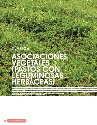NúMERO·6

          ASOcIAcIONES
          VEGETALES
          (PASTOS cON
          LEGUMINOSAS
          hERBácEAS)
          Braquiaria Brachiaria decumbens asociada a maní forrajero Arachis pintoi.
          Reserva Natural El Ciprés. Foto: Carlos Pineda.




42   · RECURSO NATURAL SUELO
 