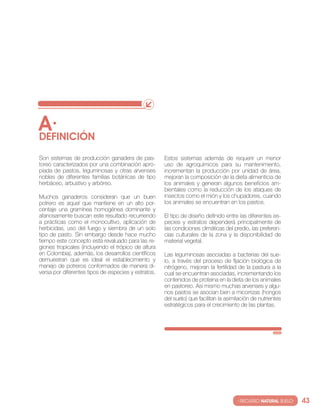 A·
DEfINIcIóN
son sistemas de producción ganadera de pas-          estos sistemas además de requerir un menor
toreo caracterizados por una combinación apro-       uso de agroquímicos para su mantenimiento,
piada de pastos, leguminosas y otras arvenses        incrementan la producción por unidad de área,
nobles de diferentes familias botánicas de tipo      mejoran la composición de la dieta alimenticia de
herbáceo, arbustivo y arbóreo.                       los animales y generan algunos beneficios am-
                                                     bientales como la reducción de los ataques de
Muchos ganaderos consideran que un buen              insectos como el mión y los chupadores, cuando
potrero es aquel que mantiene en un alto por-        los animales se encuentran en los pastos.
centaje una gramínea homogénea dominante y
afanosamente buscan este resultado recurriendo       el tipo de diseño definido entre las diferentes es-
a prácticas como el monocultivo, aplicación de       pecies y estratos dependerá principalmente de
herbicidas, uso del fuego y siembra de un solo       las condiciones climáticas del predio, las preferen-
tipo de pasto. sin embargo desde hace mucho          cias culturales de la zona y la disponibilidad de
tiempo este concepto está revaluado para las re-     material vegetal.
giones tropicales (incluyendo el trópico de altura
en colombia), además, los desarrollos científicos    las leguminosas asociadas a bacterias del sue-
demuestran que es ideal el establecimiento y         lo, a través del proceso de fijación biológica de
manejo de potreros conformados de manera di-         nitrógeno, mejoran la fertilidad de la pastura a la
versa por diferentes tipos de especies y estratos.   cual se encuentran asociadas, incrementando los
                                                     contenidos de proteína en la dieta de los animales
                                                     en pastoreo. Así mismo muchas arvenses y algu-
                                                     nos pastos se asocian bien a micorrizas (hongos
                                                     del suelo) que facilitan la asimilación de nutrientes
                                                     estratégicos para el crecimiento de las plantas.




                                                                                      · RECURSO NATURAL SUELO·   43
 