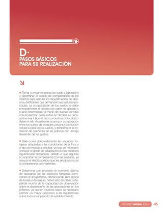 D· BáSIcOS
PASOS
PARA SU REALIzAcIóN




   tomar y enviar muestras de suelo a laboratorio
y determinar el estado de compactación de los
mismos para calcular los requerimientos de abo-
nos y fertilizantes que demandan las pasturas aso-
ciadas. la compactación de los suelos se debe
principalmente al pisoteo por parte del ganado y
puede determinase por medio de pruebas sencillas
con recolección de muestras en cilindros (es nece-
sario enviar a laboratorio y conocer los protocolos) o
determinarlo visualmente ya sea por comparación
entre los suelos de bosques cercanos (condición
natural e ideal de los suelos), o también por la for-
mación de colchones en los potreros con un bajo
desarrollo de los pastos.

   seleccionar adecuadamente las especies for-
rajeras adaptadas a las condiciones de la finca y
el tipo de mezcla a emplear, ya que es necesario
conocer el grado de adaptación de las especies
leguminosas herbáceas, debido a que algunas
no soportan la competencia con las pasturas, ya
sea por el efecto sombra que les producen o por
la competencia por nutrientes.

  Determinar con precisión el momento óptimo
de descanso de las especies forrajeras domi-
nantes en los potreros, diferenciando para época
de lluvias y de sequía, hacer esto es clave, y de-
pende mucho de la capacidad de observación
sobre el desempeño de las asociaciones en los
potreros, ya que en muchos casos es necesario
permitir un mayor descanso a las leguminosas
sobre todo en el periodo de establecimiento.

                                                         · RECURSO NATURAL SUELO·   45
 