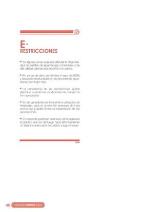 E·
          RESTRIccIONES
             en algunas zonas se puede dificultar la disponibili-
          dad de semillas de leguminosas comerciales y de
          alta calidad para las asociaciones con pastos.

            en zonas de altas pendientes (mayor de 80%)
          y escarpes erosionables no se recomienda el pa-
          storeo de ningún tipo.

            la persistencia de las asociaciones puede
          afectarse cuando las condiciones de manejo no
          son apropiadas.

            en las ganaderías es frecuente la utilización de
          herbicidas para el control de arvenses de hoja
          ancha que pueden limitar la implantación de las
          asociaciones.

             en zonas de pastoreo extensivo como sabanas
          la práctica del uso del fuego hace difícil mantener
          un balance adecuado de pastos y leguminosas.




48   · RECURSO NATURAL SUELO
 
