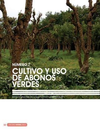 NúMERO·7

          cULTIVO y USO
          DE ABONOS
          VERDES
         Utilización del follaje de Písamo Erythrina fusca como abono verde, descomposición de hojas y
         tallos como opción para la fertilización de potreros. Reserva Pozo verde. Foto Carlos Pineda.




50   · RECURSO NATURAL SUELO
 