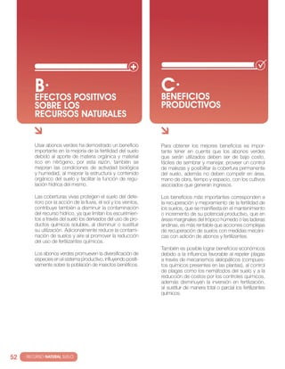 B· POSITIVOS
          EfEcTOS
                                                                    c·
                                                                    BENEfIcIOS
          SOBRE LOS                                                 PRODUcTIVOS
          REcURSOS NATURALES


          usar abonos verdes ha demostrado un beneficio             Para obtener los mejores beneficios es impor-
          importante en la mejoría de la fertilidad del suelo       tante tener en cuenta que los abonos verdes
          debido al aporte de materia orgánica y material           que serán utilizados deben ser de bajo costo,
          rico en nitrógeno, por esta razón, también se             fáciles de sembrar y manejar, proveer un control
          mejoran las condiciones de actividad biológica            de malezas y posibilitar la cobertura permanente
          y humedad, al mejorar la estructura y contenido           del suelo, además no deben competir en área,
          orgánico del suelo y facilitar la función de regu-        mano de obra, tiempo y espacio, con los cultivos
          lación hídrica del mismo.                                 asociados que generan ingresos.

          las coberturas vivas protegen el suelo del dete-          los beneficios más importantes corresponden a
          rioro por la acción de la lluvia, el sol y los vientos,   la recuperación y mejoramiento de la fertilidad de
          contribuye también a disminuir la contaminación           los suelos, que se manifiesta en el mantenimiento
          del recurso hídrico, ya que limitan los escurrimien-      o incremento de su potencial productivo, que en
          tos a través del suelo los derivados del uso de pro-      áreas marginales del trópico húmedo o las laderas
          ductos químicos solubles, al disminuir o sustituir        andinas, es más rentable que acciones complejas
          su utilización. Adicionalmente reduce la contami-         de recuperación de suelos con medidas mecáni-
          nación de suelos y aire al promover la reducción          cas con adición de abonos y fertilizantes.
          del uso de fertilizantes químicos.
                                                                    también es posible lograr beneficios económicos
          los abonos verdes promueven la diversificación de         debido a la influencia favorable al repeler plagas
          especies en el sistema productivo, influyendo positi-     a través de mecanismos alelopáticos (compues-
          vamente sobre la población de insectos benéficos.         tos químicos presentes en las plantas), al control
                                                                    de plagas como los nemátodos del suelo y a la
                                                                    reducción de costos por los controles químicos,
                                                                    además disminuyen la inversión en fertilización,
                                                                    al sustituir de manera total o parcial los fertilizantes
                                                                    químicos.




52   · RECURSO NATURAL SUELO
 