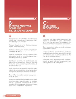B· POSITIVOS
         EfEcTOS
                                                               c·
                                                               BENEfIcIOS
         SOBRE LOS                                             PRODUcTIVOS
         REcURSOS NATURALES


         Mejoran en el suelo la fertilidad, el contenido de    incremento en la productividad de los cultivos por
         materia orgánica y las condiciones físicas, la ac-    mejoras en la fertilidad de suelos y disminución
         tividad biológica y la humedad.                       en los costos de algunas labores culturales como
                                                               labranza y eliminación de especies no deseables.
         Protegen el suelo contra los efectos directos de
         la lluvia, el sol y los vientos.                      Disminuye costos al reducir el uso de herbicidas
                                                               y fertilizantes químicos.
         controlan o disminuyen la erosión y compactación
         por exceso de labranza.                               Mejoran la utilización de dietas fibrosas, aportando
                                                               granos y forrajes de buena calidad para rumiantes
         reducen o eliminan el uso de la quema como            y no rumiantes, aún en períodos críticos del año
         práctica de manejo en los potreros y así evitan       cuando escasean los forrajes.
         los daños ocasionados al suelo.
                                                               regeneran pastos degradados por el mal mane-
         contribuyen a disminuir la contaminación de           jo de la ganadería extensiva, recuperando áreas
         aguas por escurrimientos a través del suelo de        para la generación de carne y leche.
         fertilizantes químicos solubles y de herbicidas, al
         reducir su utilización.

         Promueven el uso de diferentes especies como
         cultivos de cobertura e incrementan la diversidad
         de especies utilizadas en el sistema productivo.

         tienen influencia positiva sobre la macro y meso-
         fauna del suelo.

         Aplicados sistemáticamente contribuyen en forma
         indirecta a reducir la presión sobre los bosques
         nativos y ayudan a la conservación de su biodi-
         versidad, porque los ganaderos requieren menos
         áreas para sus actividades económicas.




58   · RECURSO NATURAL SUELO
 