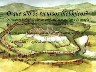 O que são os recursos biológicos? Os recursos biológicos são um conjunto de materiais e de energia que o homem pode obter a partir de outros seres vivos. Existem vários tipos de recursos biológicos, como por exemplo: - A agricultura e a agricultura intensiva; -A pecuária; -A caça; -A piscicultura; -A exploração florestal. 