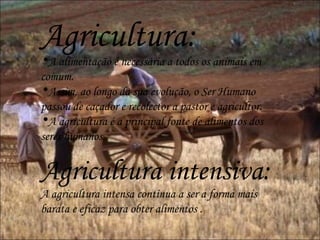 Agricultura: A alimentação é necessária a todos os animais em comum. Assim, ao longo da sua evolução, o Ser Humano passou de caçador e recolector a pastor e agricultor. A agricultura é a principal fonte de alimentos dos seres humanos. Agricultura intensiva: A agricultura intensa continua a ser a forma mais barata e eficaz para obter alimentos  . 