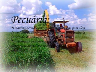 Pecuária: Os animais criados em cativeiro representam, para além de um fonte de alimento, recursos utilizados na indústria do calçado, do vestuário, farmacêutica e outras Actualmente, existem normas sobre medicação e alimentação animal que visam proteger a saúde dos cidadãos 