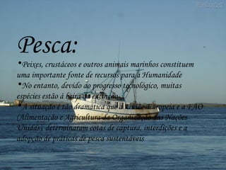 Pesca: Peixes, crustáceos e outros animais marinhos constituem uma importante fonte de recursos para a Humanidade No entanto, devido ao progresso tecnológico, muitas espécies estão á beira da extinção A situação é tão dramática que a União Europeia e a FAO (Alimentação e Agricultura da Organização das Nações Unidas), determinaram cotas de captura, interdições e a adopção de práticas de pesca sustentáveis 