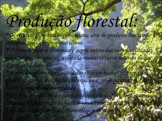 Produção florestal: Os recursos florestais englobam uma série de produtos biológicos indispensáveis ao nosso quotidiano O Homem para se alimentar e suprir outras das suas necessidades, por exemplo, energéticas, utilizada muitas vezes os recursos de que dispõe até á exaustão Assim, a exploração excessiva dos recursos biológicos é uma das principais causas a extinção das espécies e, consequentemente, da destruição da  Biodiversidade Verifica-se que a caça e pesca excessiva e a desflorestação com a consequente destruição do habitat constituem as principais ameaças á biodiversidade e ao equilíbrio ecológico do nosso planeta  