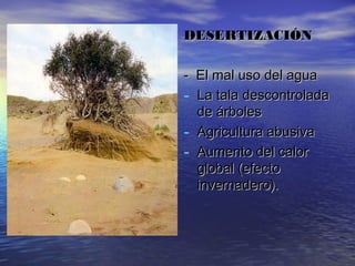 DESERTIZACIÓNDESERTIZACIÓN
- El mal uso del agua- El mal uso del agua
- La tala descontroladaLa tala descontrolada
de árbolesde árboles
- Agricultura abusivaAgricultura abusiva
- Aumento del calorAumento del calor
global (efectoglobal (efecto
invernadero).invernadero).
 