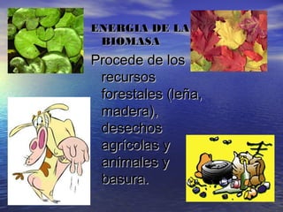 ENERGIA DE LAENERGIA DE LA
BIOMASABIOMASA
Procede de losProcede de los
recursosrecursos
forestales (leña,forestales (leña,
madera),madera),
desechosdesechos
agrícolas yagrícolas y
animales yanimales y
basura.basura.
 