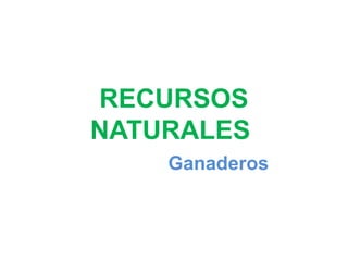 RECURSOS
NATURALES
Ganaderos
 