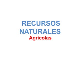 RECURSOS
NATURALES
Agrícolas
 