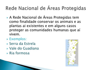 






A Rede Nacional de Áreas Protegidas tem
como finalidade conservar os animais e as
plantas ai existentes e em alguns casos
proteger as comunidades humanas que aí
vivem.
Exemplos:
Serra da Estrela
Vale do Guadiana
Ria formosa

 