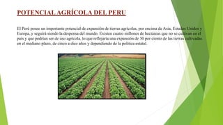 POTENCIAL AGRÍCOLA DEL PERU
El Perú posee un importante potencial de expansión de tierras agrícolas, por encima de Asia, Estados Unidos y
Europa, y seguirá siendo la despensa del mundo. Existen cuatro millones de hectáreas que no se cultivan en el
país y que podrían ser de uso agrícola, lo que reflejaría una expansión de 30 por ciento de las tierras cultivadas
en el mediano plazo, de cinco a diez años y dependiendo de la política estatal.
 