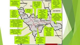 POTENCIAL EXPORTADOR
MAIZ AMARILLO,
FRUTALES,
GANADERIA,
ACUICULTURA
MAIZ
AMARILLO
CEBOLLA,
MANGO,
HARINA DE
PESCADO
MAIZ AMARILLO
PAPRIKA ALCACHOFA,
ALCOHOL, PIMIENTO
ESPARRAGO,
ALCACHOFA, HARINA
DE PESCADO
CAÑA DE AZUCAR,
CEBOLLA, PIÑA,
MANGO, CALZADO,
ALCOHOL
PAPRIKA, ALCACHOFA
UVA, BROCOLI, LUCUMA,
PALTA, PAPAYA
CEBOLLA, ESPARRAGO,
MANDARINA, CONCHA DE
ABANICO
ARVEJA
UVA, VINO,
TARA
PAPA, ARVEJA
MAIZ, TRIGO,
CAMELIDOS
EUCALIPTO,
PIÑA,
PAPA, TARA,
QUINUA,
ARVEJA, ORO,
PINO,
MENESTRAS,
TRUCHAS
CAMELIDOS
MAIZ, PAPA,
QUINUA, AJO,
TRUCHA, TARA,
EUCALIPTO,
PINO
MENESTRAS
ARVEJA
PAPA, AJO,
CEBOLLA, TARA,
MAIZ,MINERALES,
CAMELIDOS,
TRUJCHAS
PAPA, ARVEJA,
MAIZ,
CAMELIDOS,
OVINO,
MINERALES
ARVEJA, HABA,
MAIZ, PAPA,
TARA, ORO,
TRIGO,
EUCALIPTO,
VACUNOS,
CAMELIDO
 