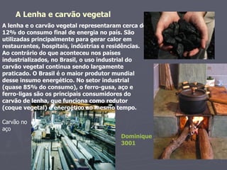 A Lenha e carvão vegetal A lenha e o carvão vegetal representaram cerca de 12% do consumo final de energia no país. São utilizadas principalmente para gerar calor em restaurantes, hospitais, indústrias e residências.  Ao contrário do que aconteceu nos países industrializados, no Brasil, o uso industrial do carvão vegetal continua sendo largamente praticado. O Brasil é o maior produtor mundial desse insumo energético. No setor industrial (quase 85% do consumo), o ferro-gusa, aço e ferro-ligas são os principais consumidores do carvão de lenha, que funciona como redutor (coque vegetal) e energético ao mesmo tempo.  Carvão no aço Dominique 3001 