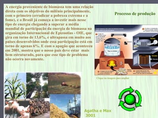 A energia proveniente de biomassa tem uma relação  direta com os objetivos do milênio principalmente,  com o primeiro (erradicar a pobreza extrema e a fome), e o Brasil já começa a investir mais nesse tipo de energia chegando a superar a média  mundial de participação da energia de biomassa na organização Internacional de Epizootias - OIE, que gira em torno de 13,6%, e ultrapassa em muito aos paises desenvolvidos onde essa participação está em  torno de apenas 6%. E com o apagão que aconteceu em 2001, mostra que o nosso país deve estar  mais bem estruturado, para que esse tipo de problema  não ocorra novamente. Processo de produção Clique na imagem para ampliar Agatha e Max   3001  