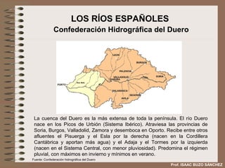 LOS RÍOS ESPAÑOLES
              Confederación Hidrográfica del Duero




 La cuenca del Duero es la más extensa de toda la península. El río Duero
 nace en los Picos de Urbión (Sistema Ibérico). Atraviesa las provincias de
 Soria, Burgos, Valladolid, Zamora y desemboca en Oporto. Recibe entre otros
 afluentes el Pisuerga y el Esla por la derecha (nacen en la Cordillera
 Cantábrica y aportan más agua) y el Adaja y el Tormes por la izquierda
 (nacen en el Sistema Central, con menor pluviosidad). Predomina el régimen
 pluvial, con máximos en invierno y mínimos en verano.
Fuente: Confederación hidrográfica del Duero
                                                            Prof. ISAAC BUZO SÁNCHEZ
 