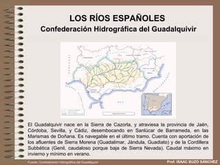 LOS RÍOS ESPAÑOLES
         Confederación Hidrográfica del Guadalquivir




El Guadalquivir nace en la Sierra de Cazorla, y atraviesa la provincia de Jaén,
Córdoba, Sevilla, y Cádiz, desembocando en Sanlúcar de Barrameda, en las
Marismas de Doñana. Es navegable en el último tramo. Cuenta con aportación de
los afluentes de Sierra Morena (Guadalimar, Jándula, Guadiato) y de la Cordillera
Subbética (Genil, caudaloso porque baja de Sierra Nevada). Caudal máximo en
invierno y mínimo en verano.
Fuente: Confederación hidrográfica del Guadalquivir           Prof. ISAAC BUZO SÁNCHEZ
 