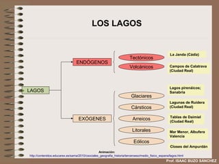 LOS LAGOS


                                                                                                    La Janda (Cádiz)
                                                                       Tectónicos
                                 ENDÓGENOS
                                                                       Volcánicos                   Campos de Calatrava
                                                                                                    (Ciudad Real)



                                                                                                    Lagos pirenáicos;
LAGOS                                                                                               Sanabria
                                                                        Glaciares
                                                                                                    Lagunas de Ruidera
                                                                        Cársticos                   (Ciudad Real)

                                                                                                    Tablas de Daimiel
                                   EXÓGENES                              Arreicos                   (Ciudad Real)

                                                                         Litorales                  Mar Menor, Albufera
                                                                                                    Valencia
                                                                          Eólicos
                                                                                                    Closes del Ampurdán
                                                 Animación:
http://contenidos.educarex.es/sama/2010/csociales_geografia_historia/terceroeso/medio_fisico_espana/lagos.html
                                                                                                 Prof. ISAAC BUZO SÁNCHEZ
 