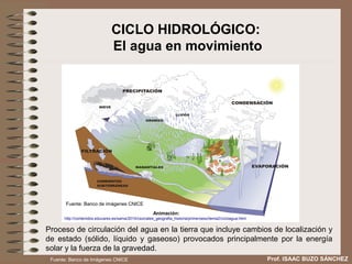 CICLO HIDROLÓGICO:
                               El agua en movimiento




       Fuente: Banco de imágenes CNICE
                                                      Animación:
      http://contenidos.educarex.es/sama/2010/csociales_geografia_historia/primeroeso/tema2/cicloagua.html


Proceso de circulación del agua en la tierra que incluye cambios de localización y
de estado (sólido, líquido y gaseoso) provocados principalmente por la energía
solar y la fuerza de la gravedad.
 Fuente: Banco de Imágenes CNICE                                                                             Prof. ISAAC BUZO SÁNCHEZ
 