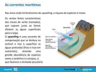As correntes marítimas
Nas áreas onde há fenómenos de upwelling, a riqueza de espécies é maior.
Os ventos fortes característicos
dos meses de verão (nortadas),
que sopram junto ao litoral,
afastam as águas superficiais
para o largo.
O upwelling é uma corrente de
compensação que se desloca na
vertical e traz à superfície as
águas profundas (frias e ricas em
nutrientes), atraindo uma
grande abundância de espécies
como a sardinha e o carapau, o
que favorece a atividade piscatória.
 
