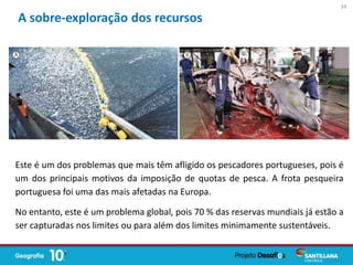 Este é um dos problemas que mais têm afligido os pescadores portugueses, pois é
um dos principais motivos da imposição de quotas de pesca. A frota pesqueira
portuguesa foi uma das mais afetadas na Europa.
No entanto, este é um problema global, pois 70 % das reservas mundiais já estão a
ser capturadas nos limites ou para além dos limites minimamente sustentáveis.
A sobre-exploração dos recursos
34
 