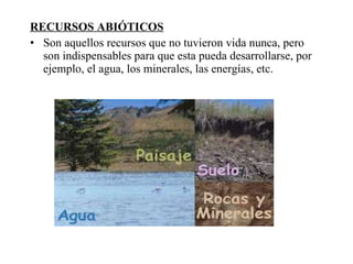 RECURSOS ABIÓTICOS Son aquellos recursos que no tuvieron vida nunca, pero son indispensables para que esta pueda desarrollarse, por ejemplo, el agua, los minerales, las energías, etc. 