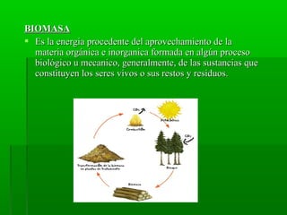 BIOMASABIOMASA
 Es la energia procedente del aprovechamiento de laEs la energia procedente del aprovechamiento de la
materia orgánica e inorganica formada en algún procesomateria orgánica e inorganica formada en algún proceso
biológico u mecanico, generalmente, de las sustancias quebiológico u mecanico, generalmente, de las sustancias que
constituyen los seres vivos o sus restos y residuos.constituyen los seres vivos o sus restos y residuos.
 