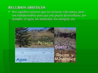 RECURSOS ABIÓTICOSRECURSOS ABIÓTICOS
 Son aquellos recursos que no tuvieron vida nunca, peroSon aquellos recursos que no tuvieron vida nunca, pero
son indispensables para que esta pueda desarrollarse, porson indispensables para que esta pueda desarrollarse, por
ejemplo, el agua, los minerales, las energías, etc.ejemplo, el agua, los minerales, las energías, etc.
 