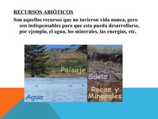 RECURSOS ABIÓTICOS
Son aquellos recursos que no tuvieron vida nunca, pero
son indispensables para que esta pueda desarrollarse,
por ejemplo, el agua, los minerales, las energías, etc.
 