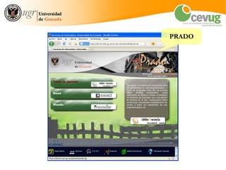 PRADO
 